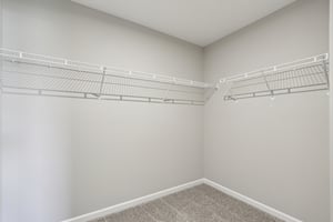 Elaine Ct-S2201-037.jpg