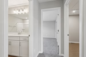 Elaine Ct-S2201-044.jpg