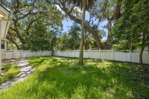 Side Yard