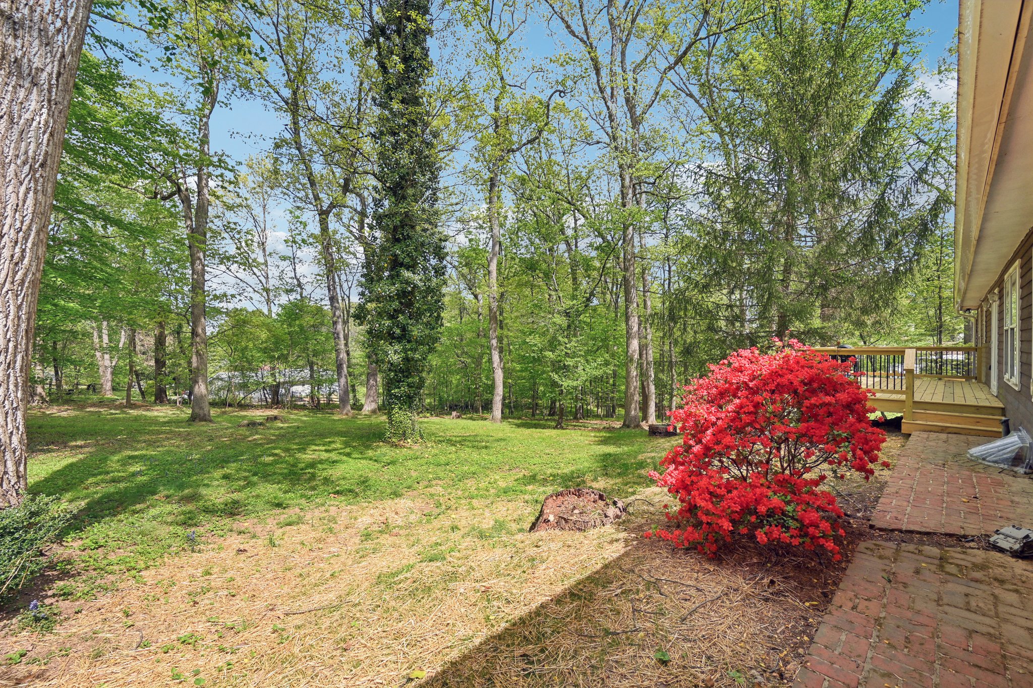 Tall Oaks Dr-S1804-063.jpg