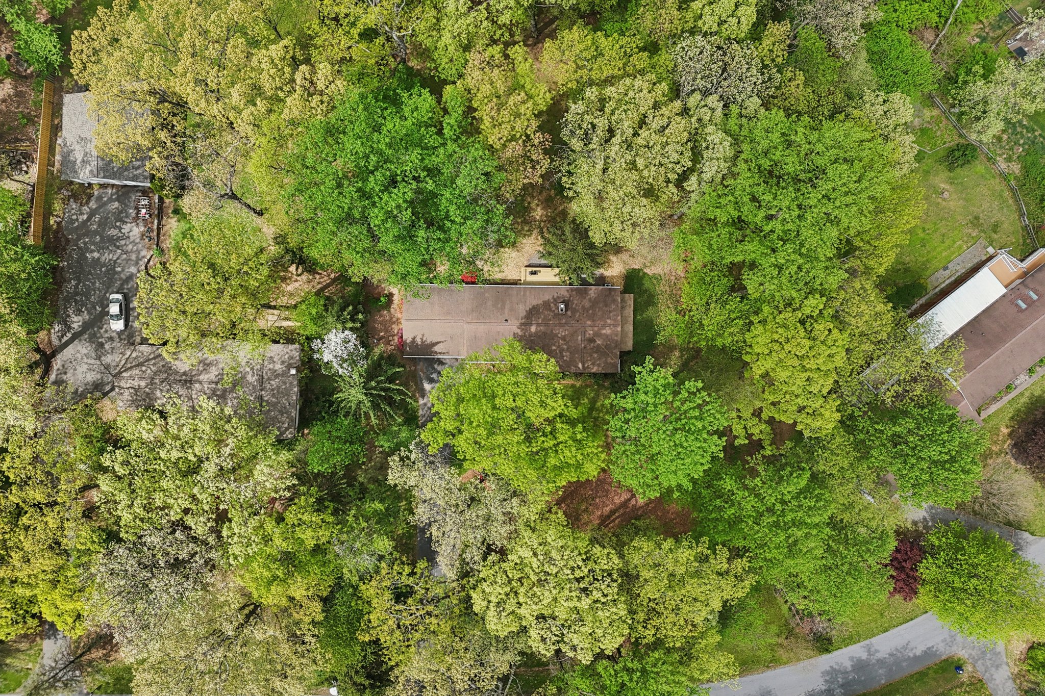 Tall Oaks Dr-S1804-073.jpg