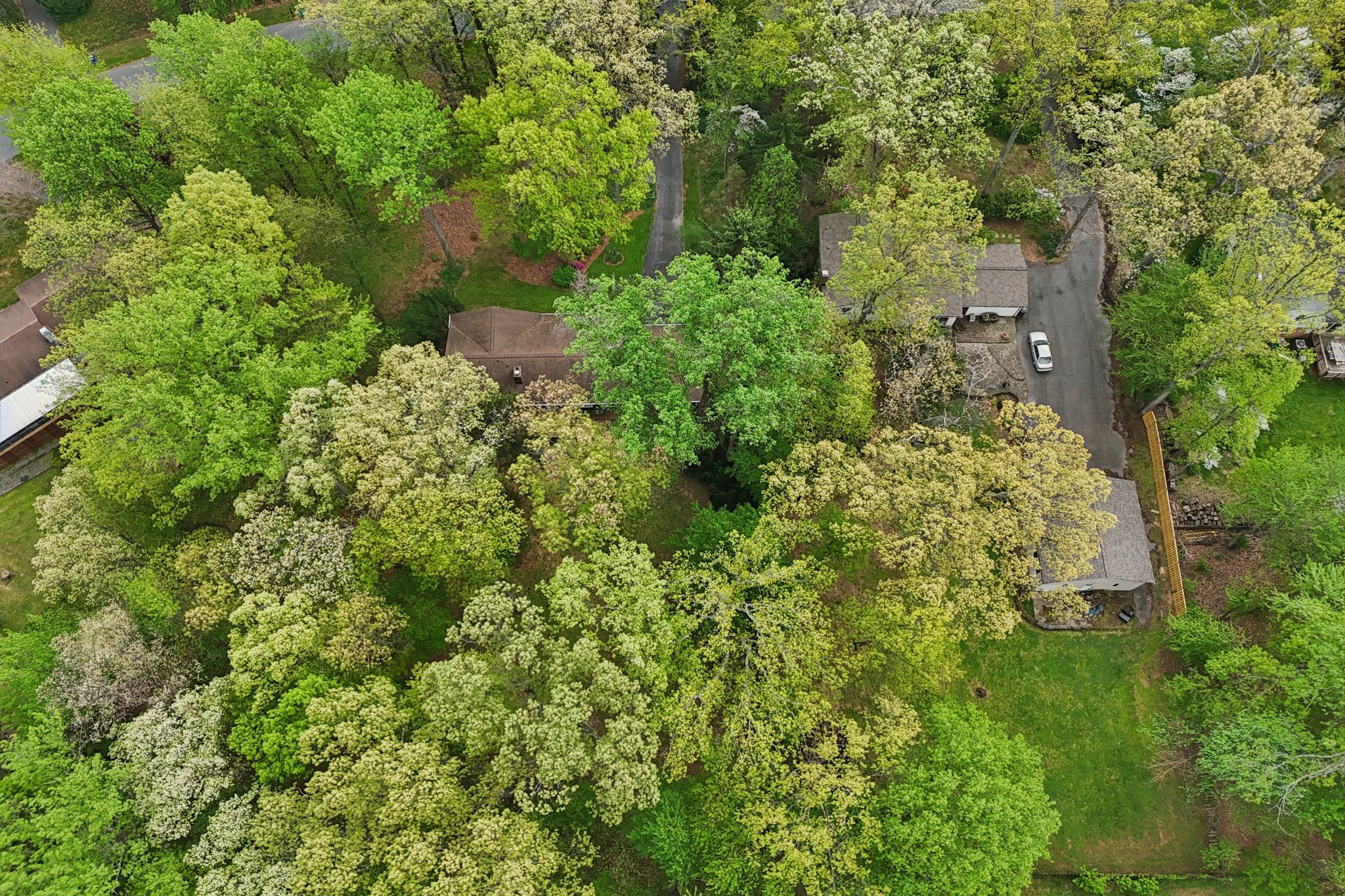 Tall Oaks Dr-S1804-082.jpg