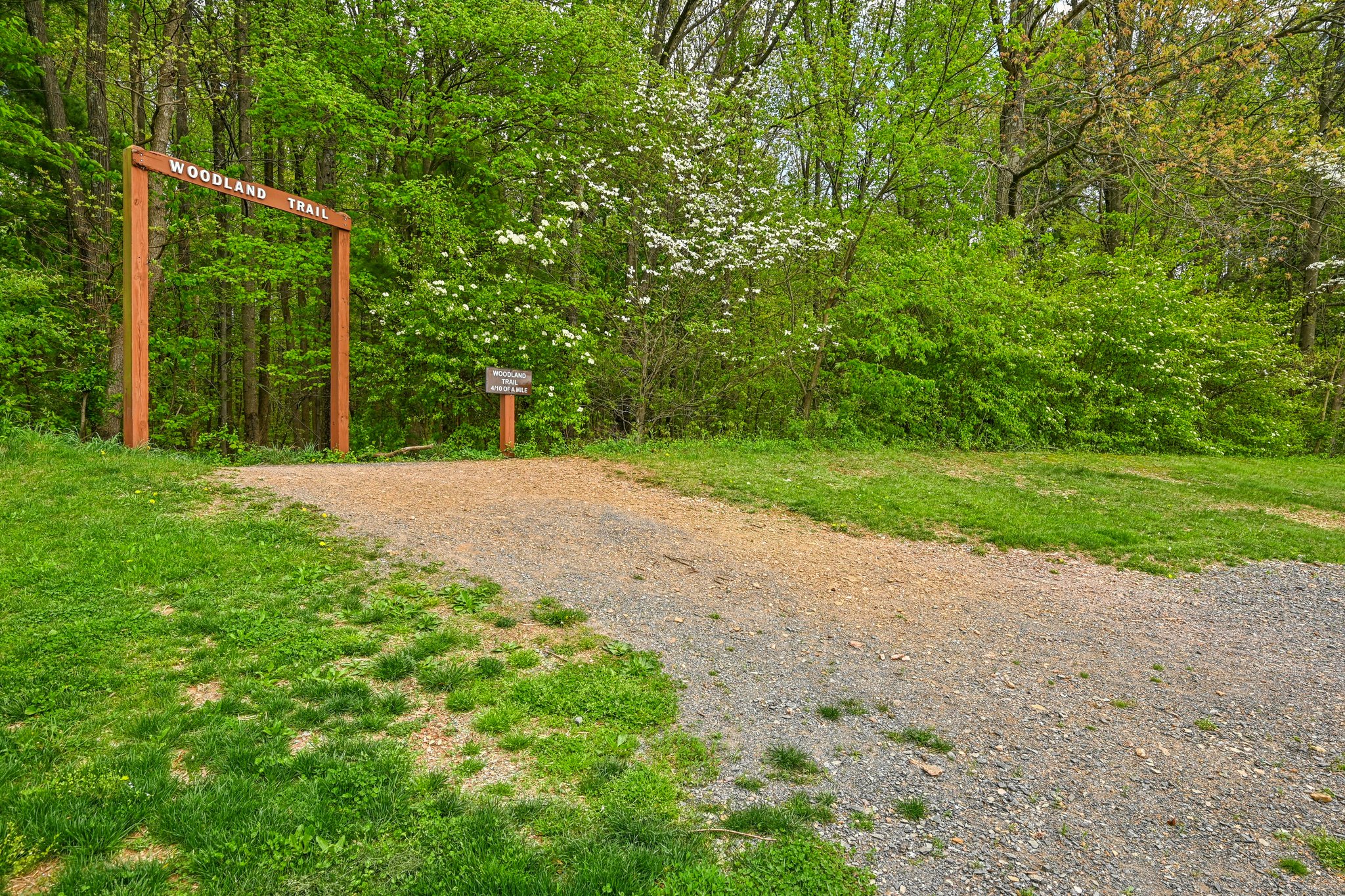 Tall Oaks Dr-1804-909.jpg