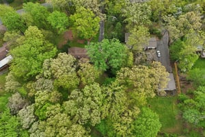 Tall Oaks Dr-S1804-082.jpg