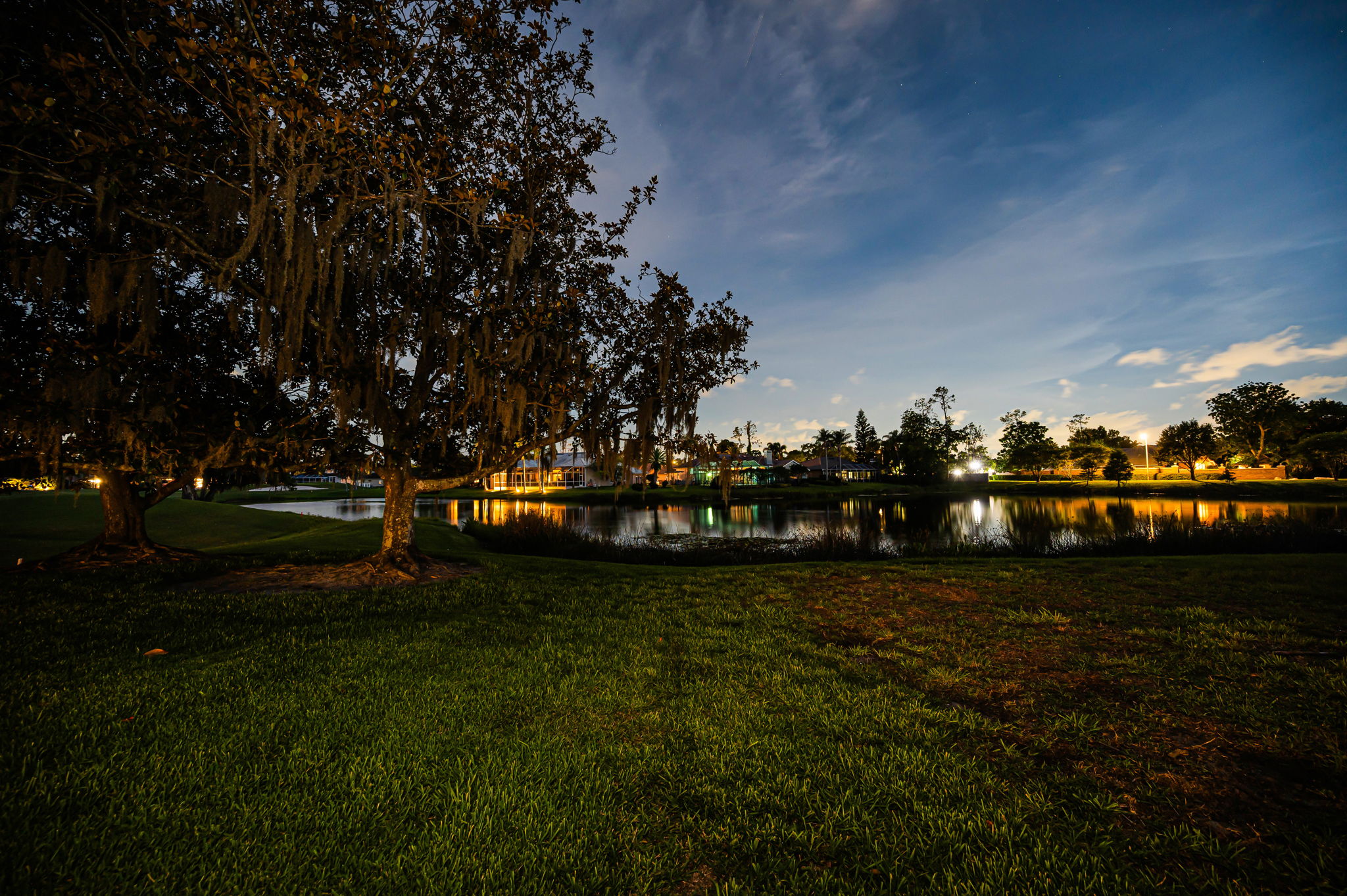 Backyard40