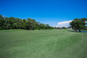 Golf Course3