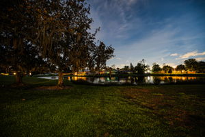 Backyard40