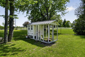  Photo 48
