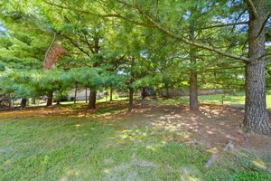 5 Blue Jay Ct, Sterling, VA 20164, USA Photo 50