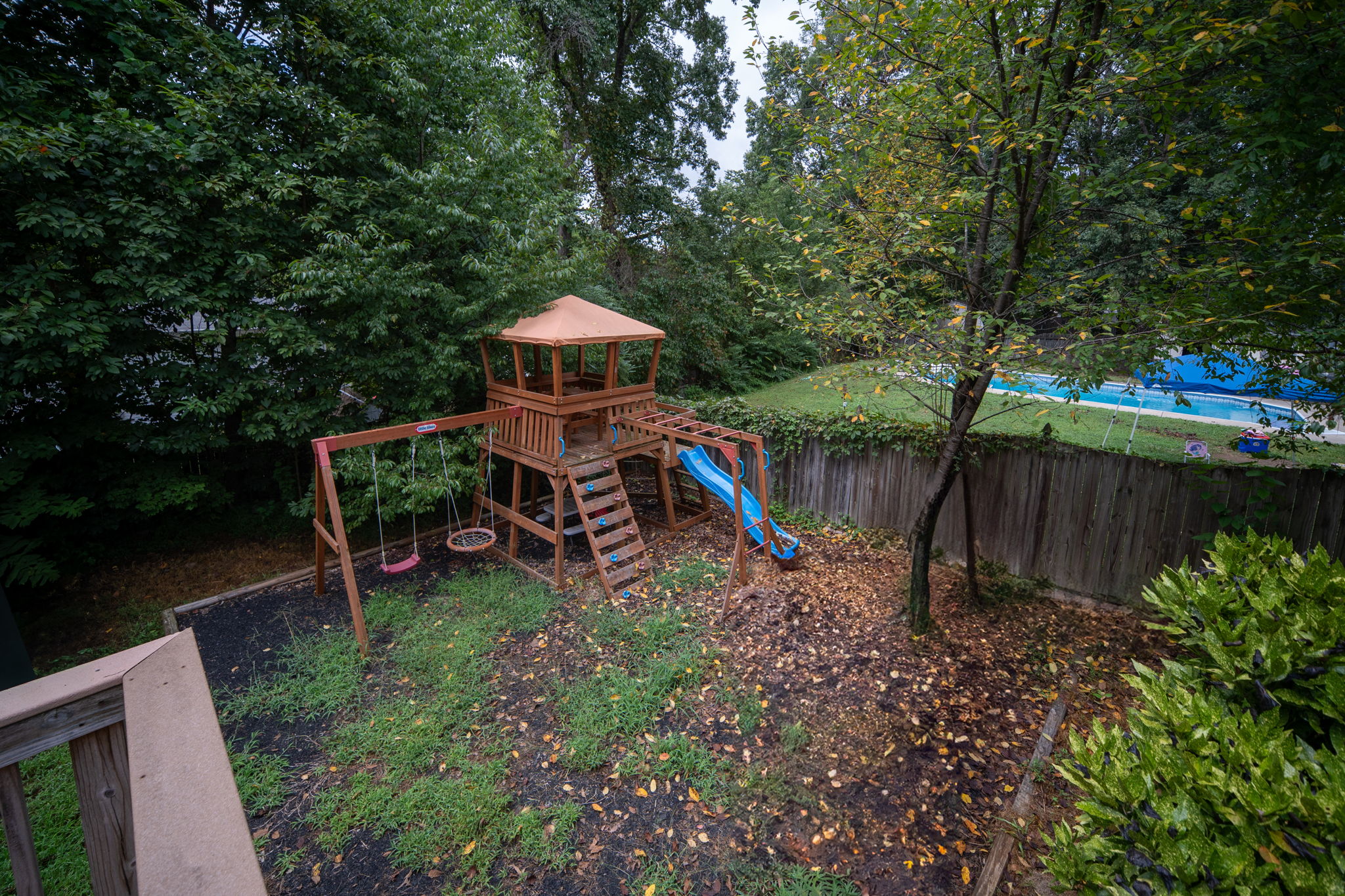  Photo 42