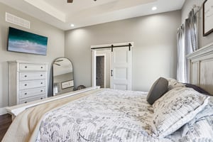 Dove Ct-S1811-025.jpg