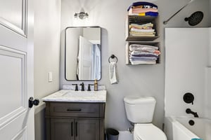 Dove Ct-S1811-038.jpg