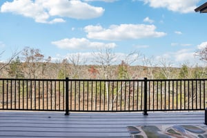 Dove Ct-S1811-044.jpg