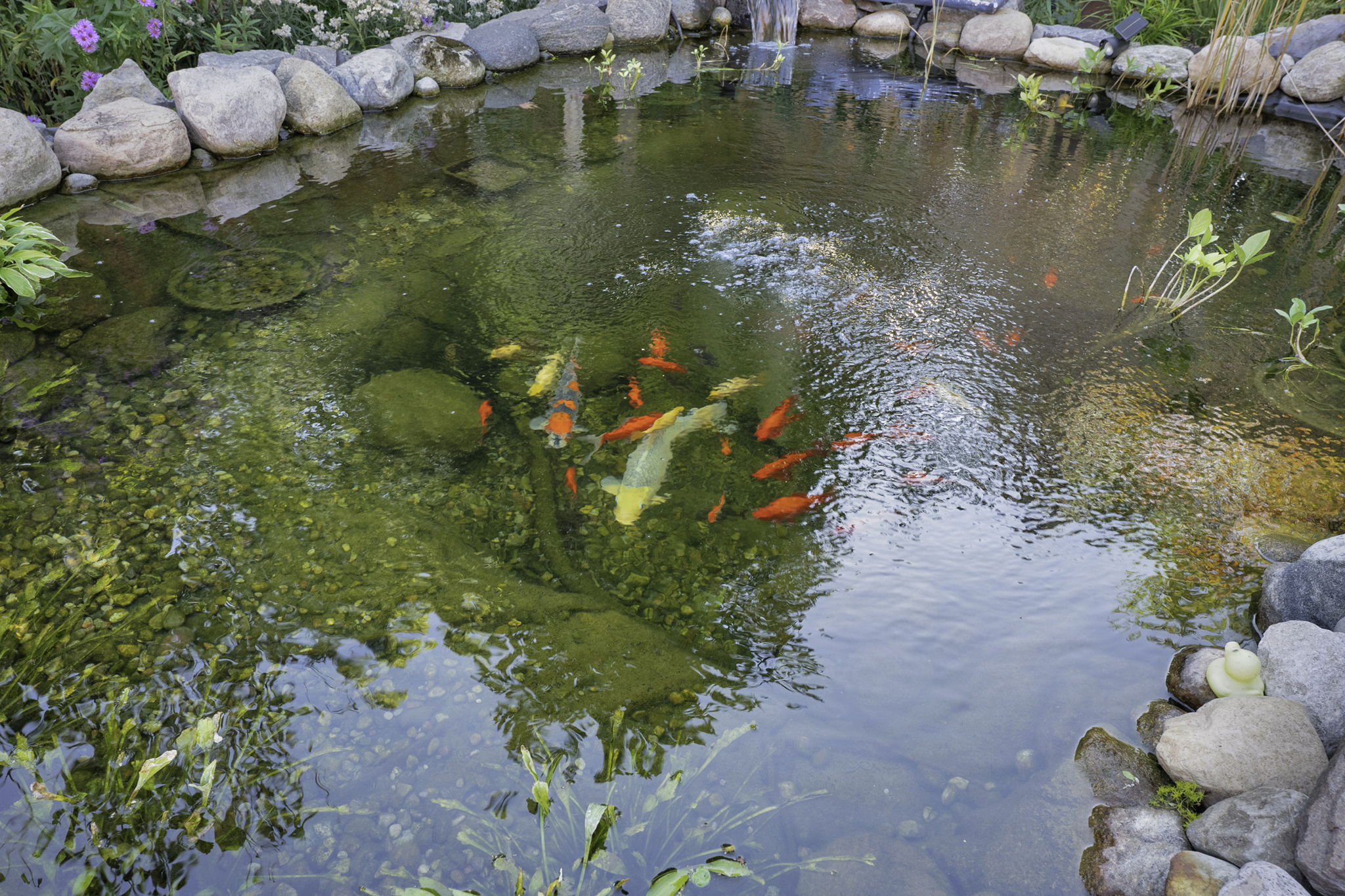  Photo 52