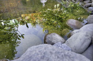  Photo 49