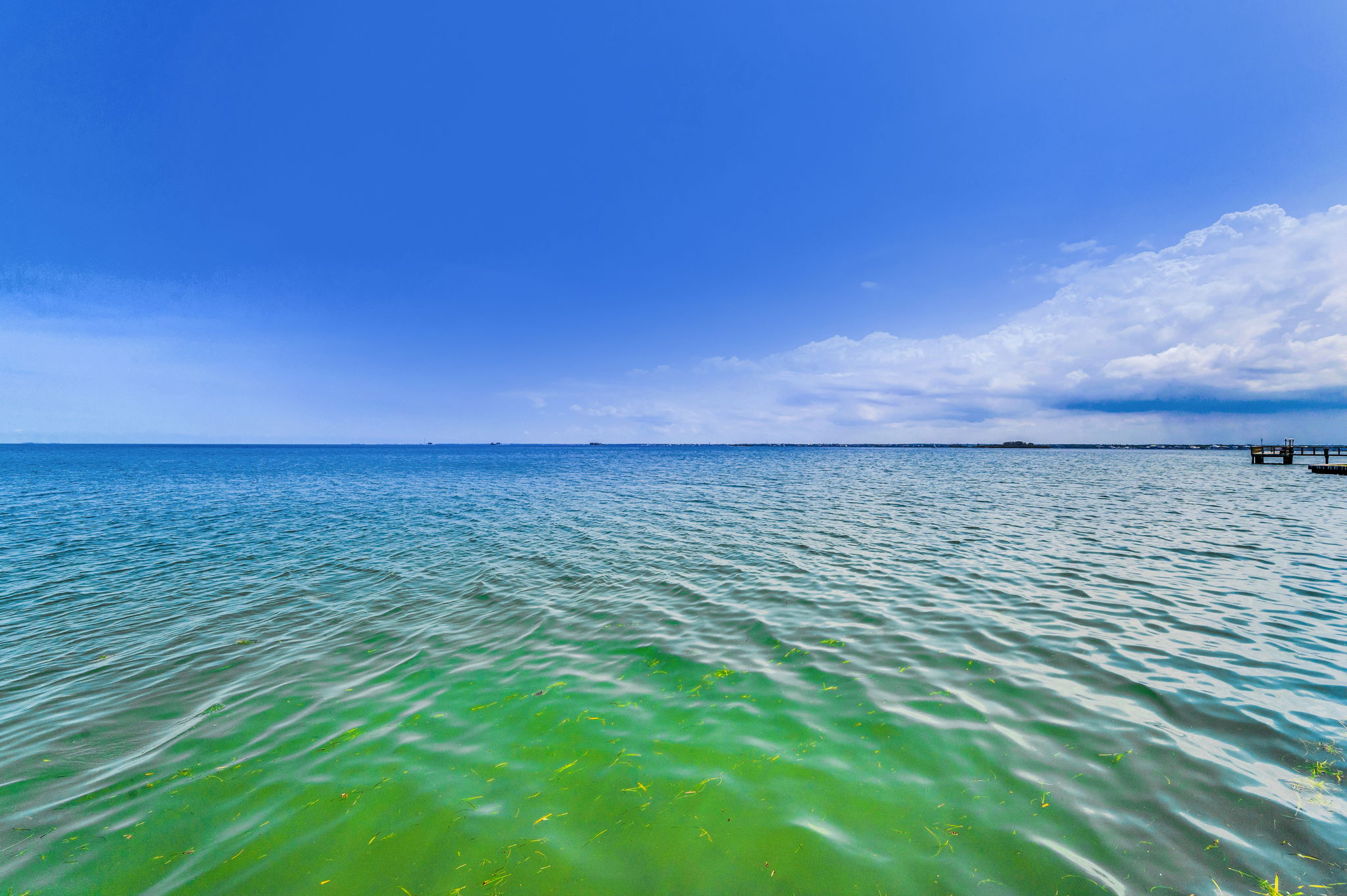 Backyard Water View1