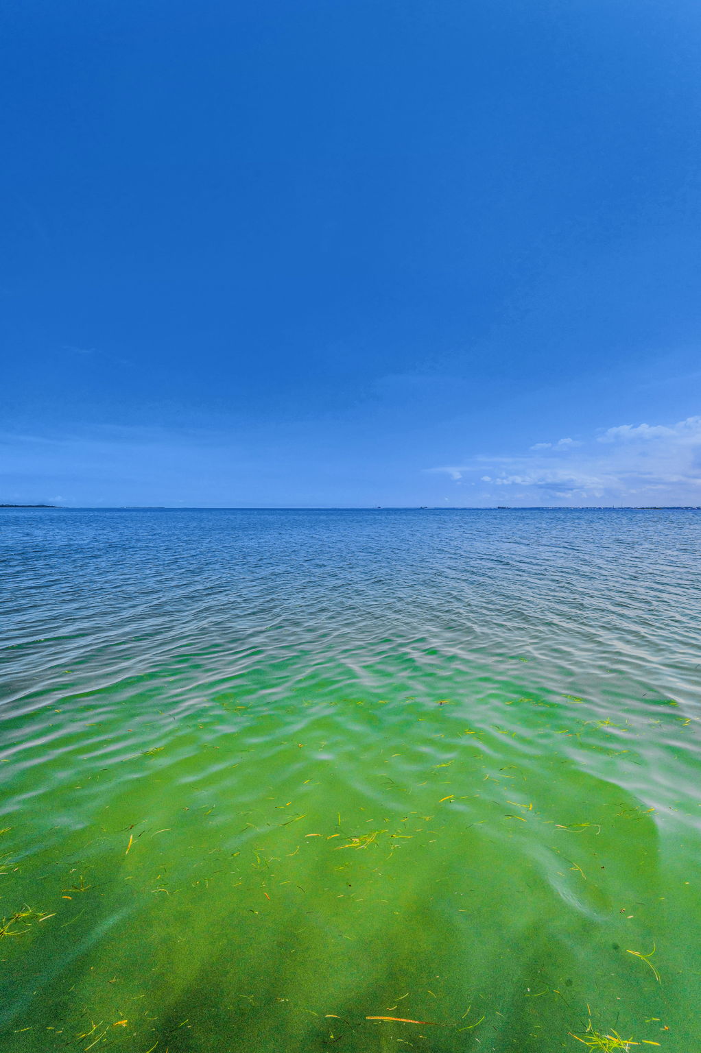 Backyard Water View2