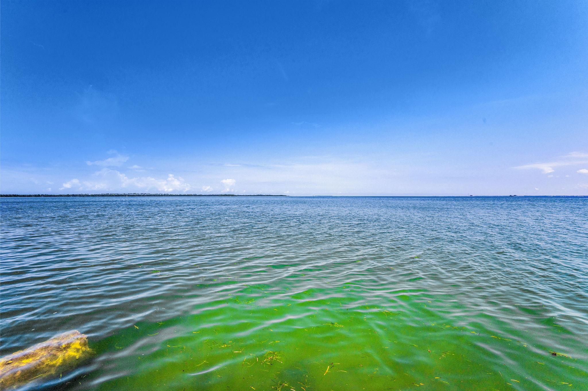 Backyard Water View3