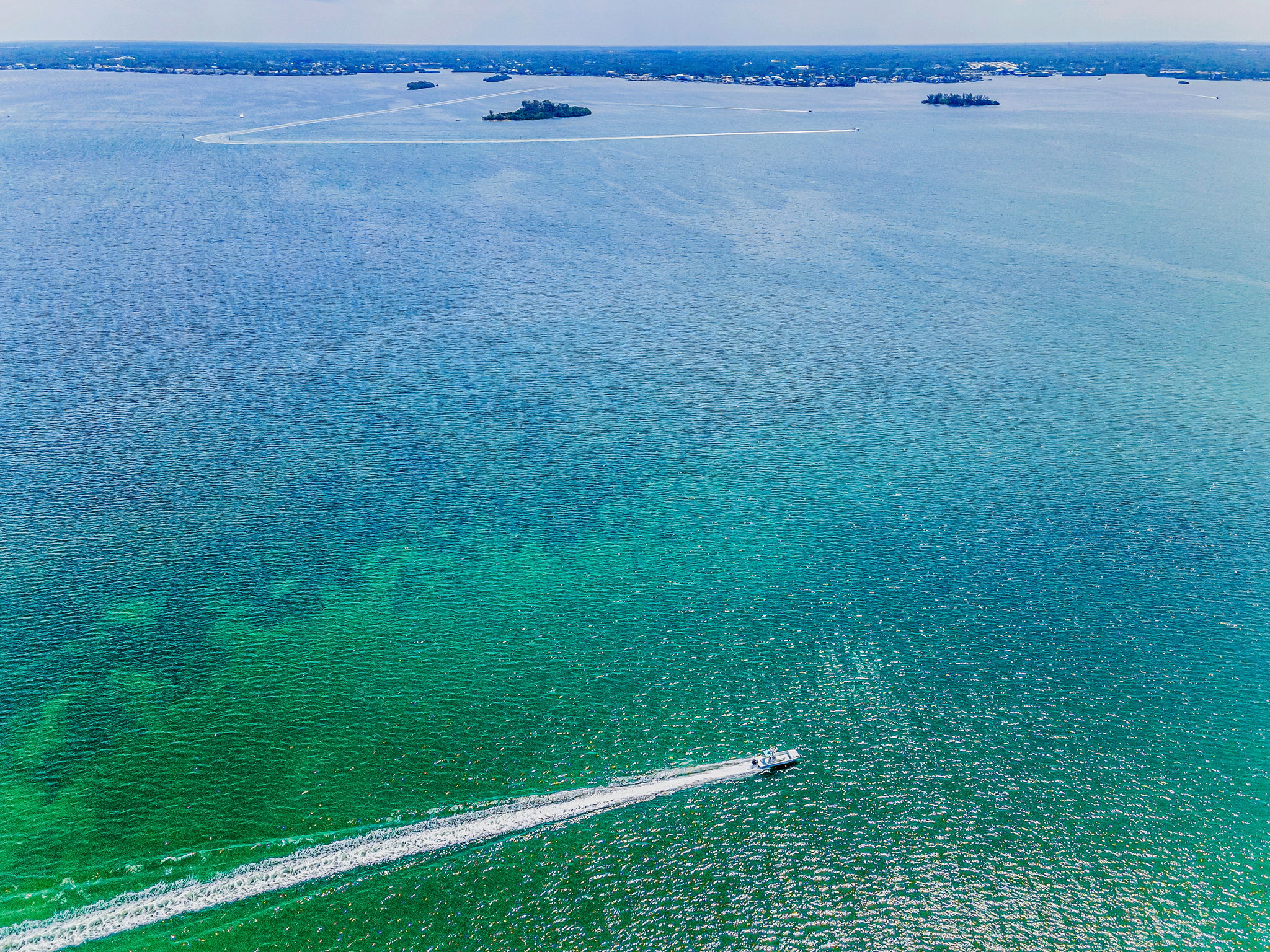 Aerial (10)