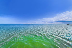 Backyard Water View1