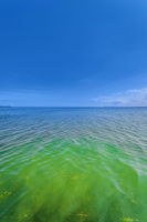 Backyard Water View2