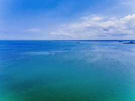 Aerial (4)