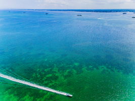 Aerial (9)
