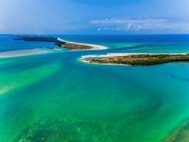 Aerial (20)