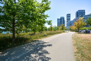  Photo 49
