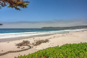 Carmel Beach