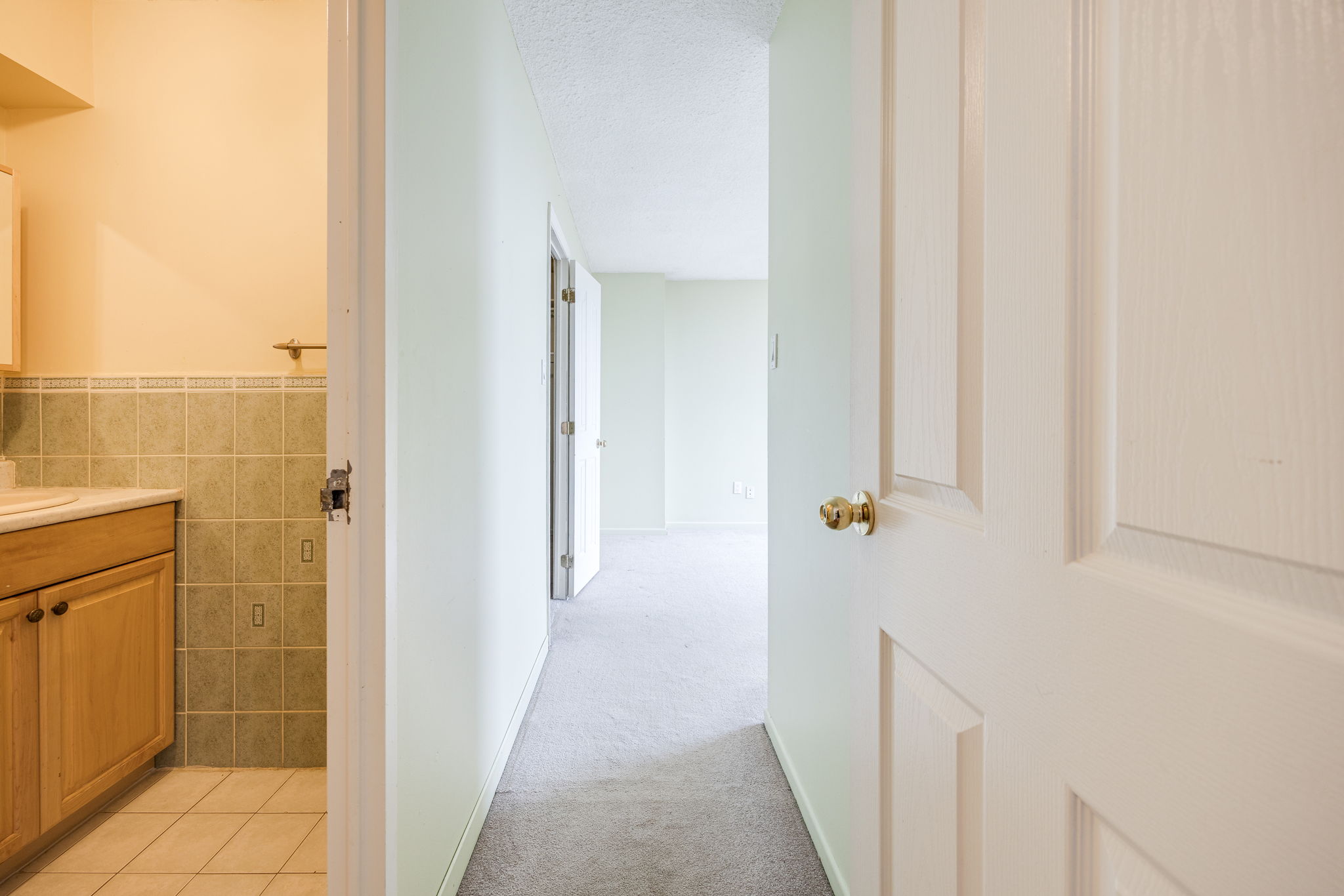 Toronto property showcase — delivered property photograph 20