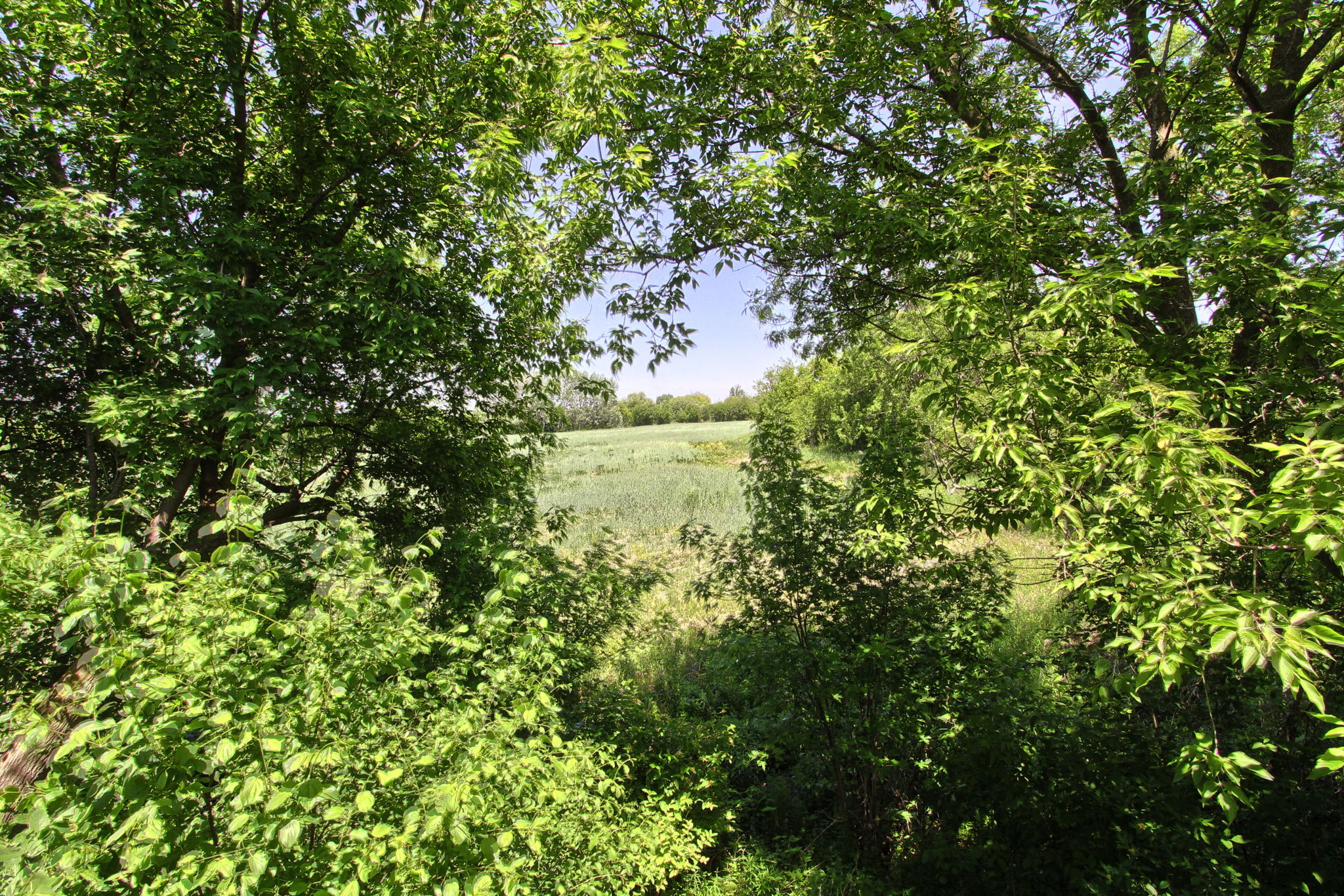  Photo 35