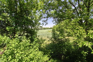  Photo 34