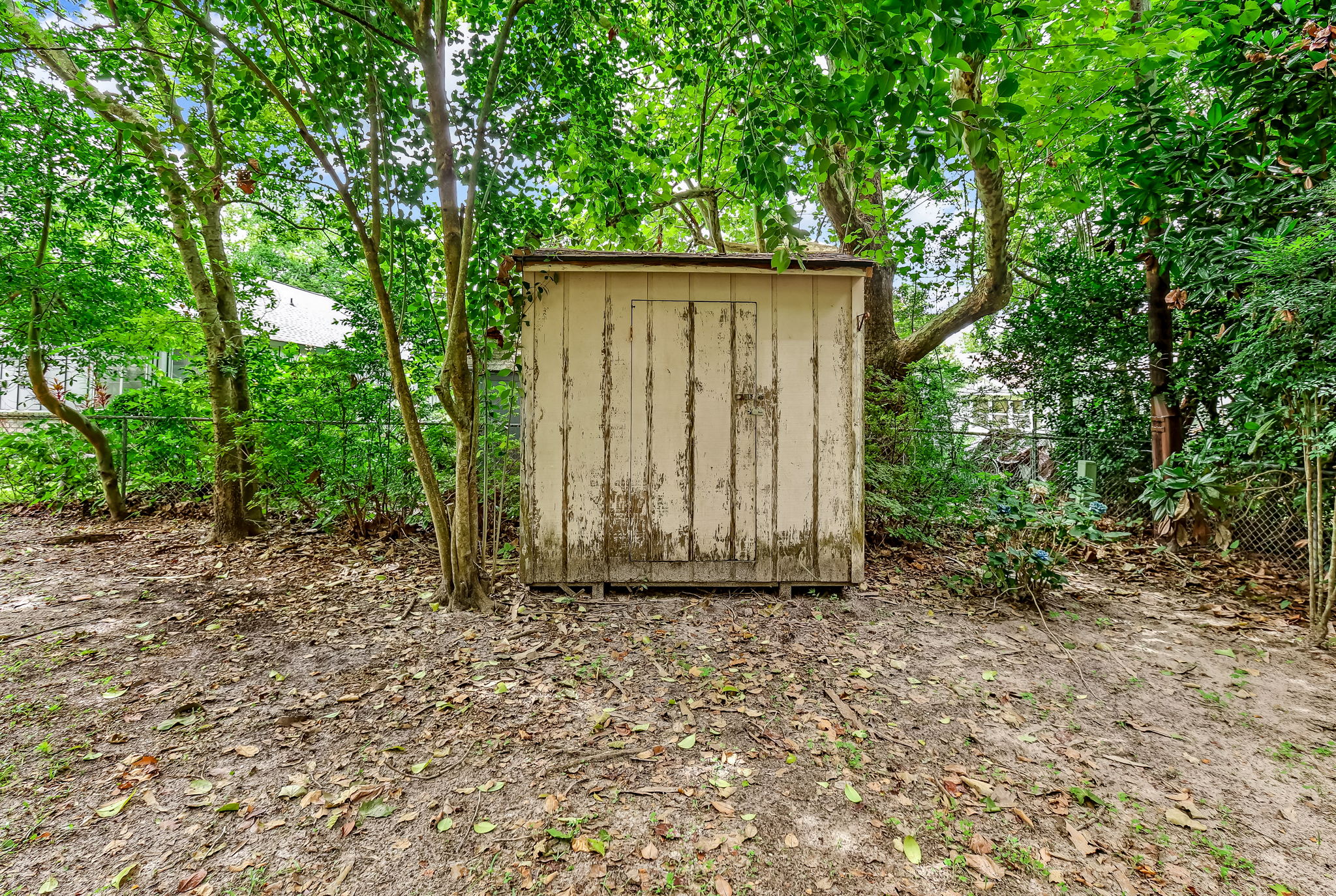 Back Yard