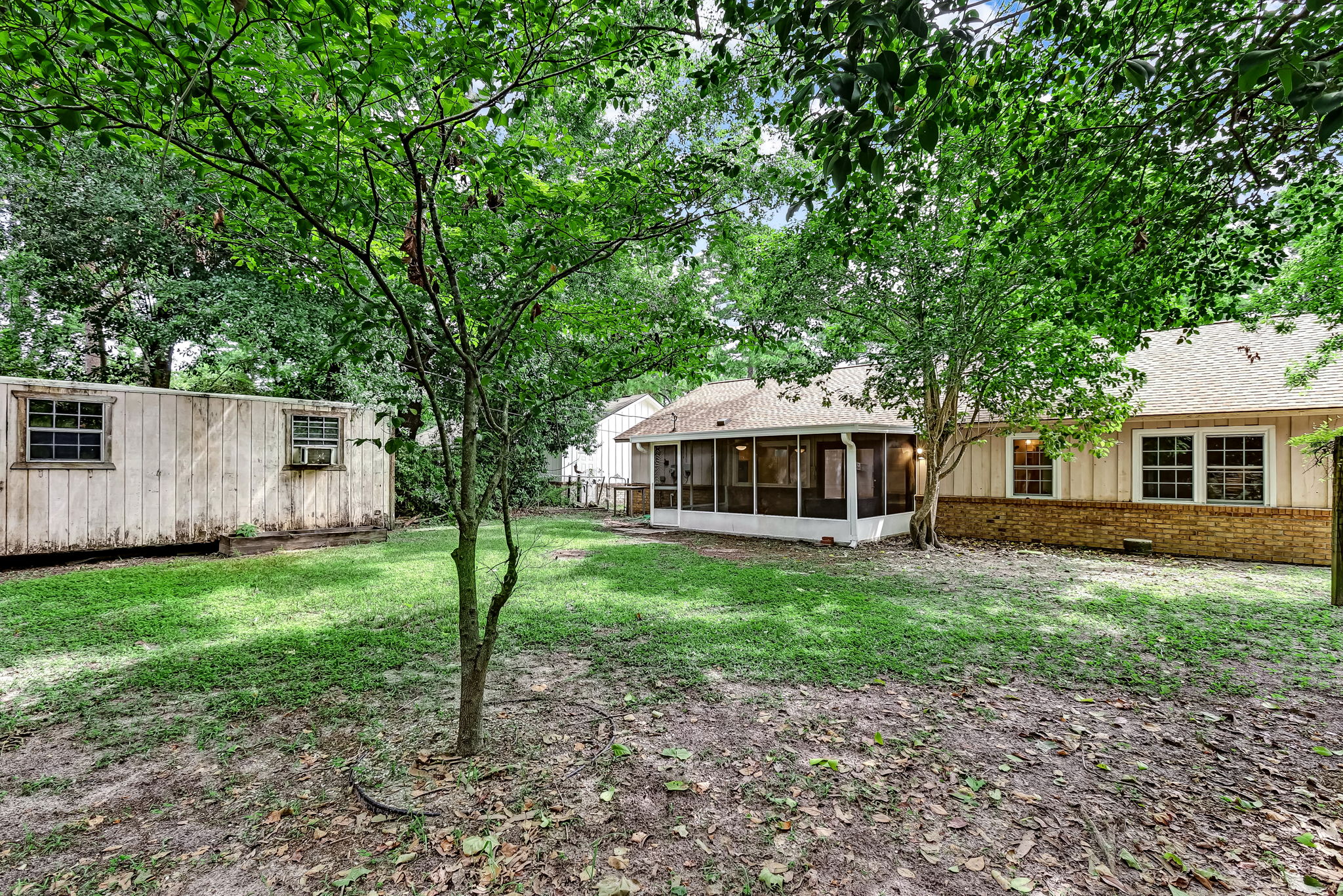 Back Yard