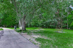 Picnic Area