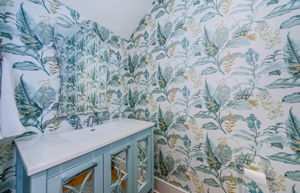 Lower Level Bathroom 3a