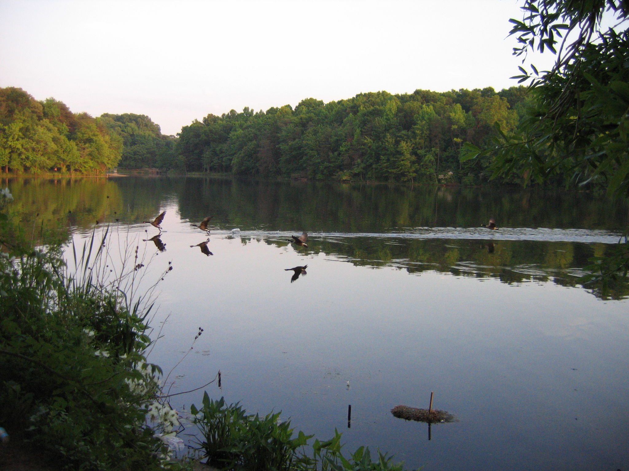 Greenbelt Lake