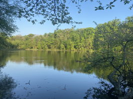 Greenbelt Lake