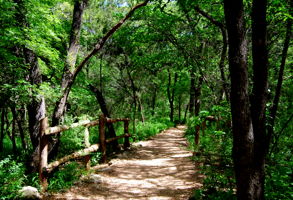 Community Amenities