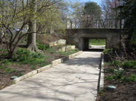 Community Pathways
