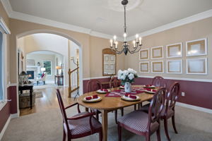 5 White Fir Ct, Littleton, CO 80127, USA Photo 15