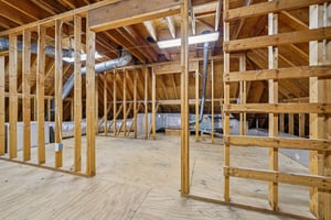 Wild Dunes-S1602-090.jpg