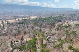 Wild Dunes-S1602-116.jpg