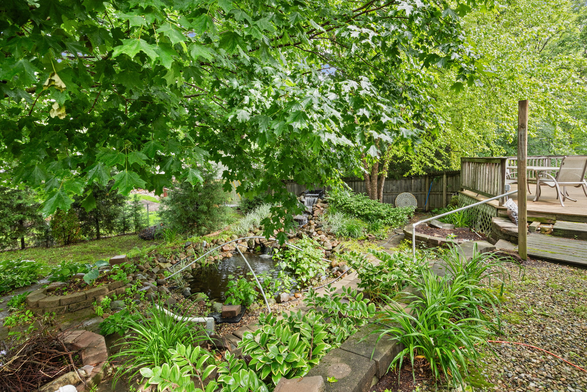  Photo 29