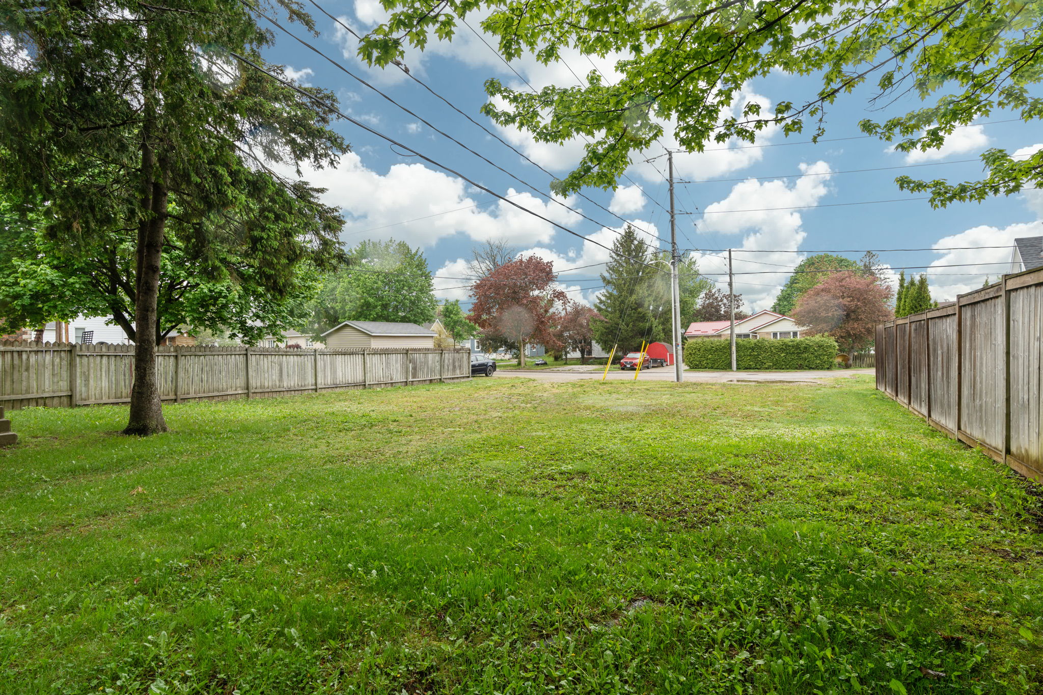  Photo 44