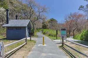  Photo 49