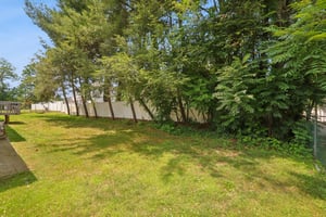 IMG_7596.jpg