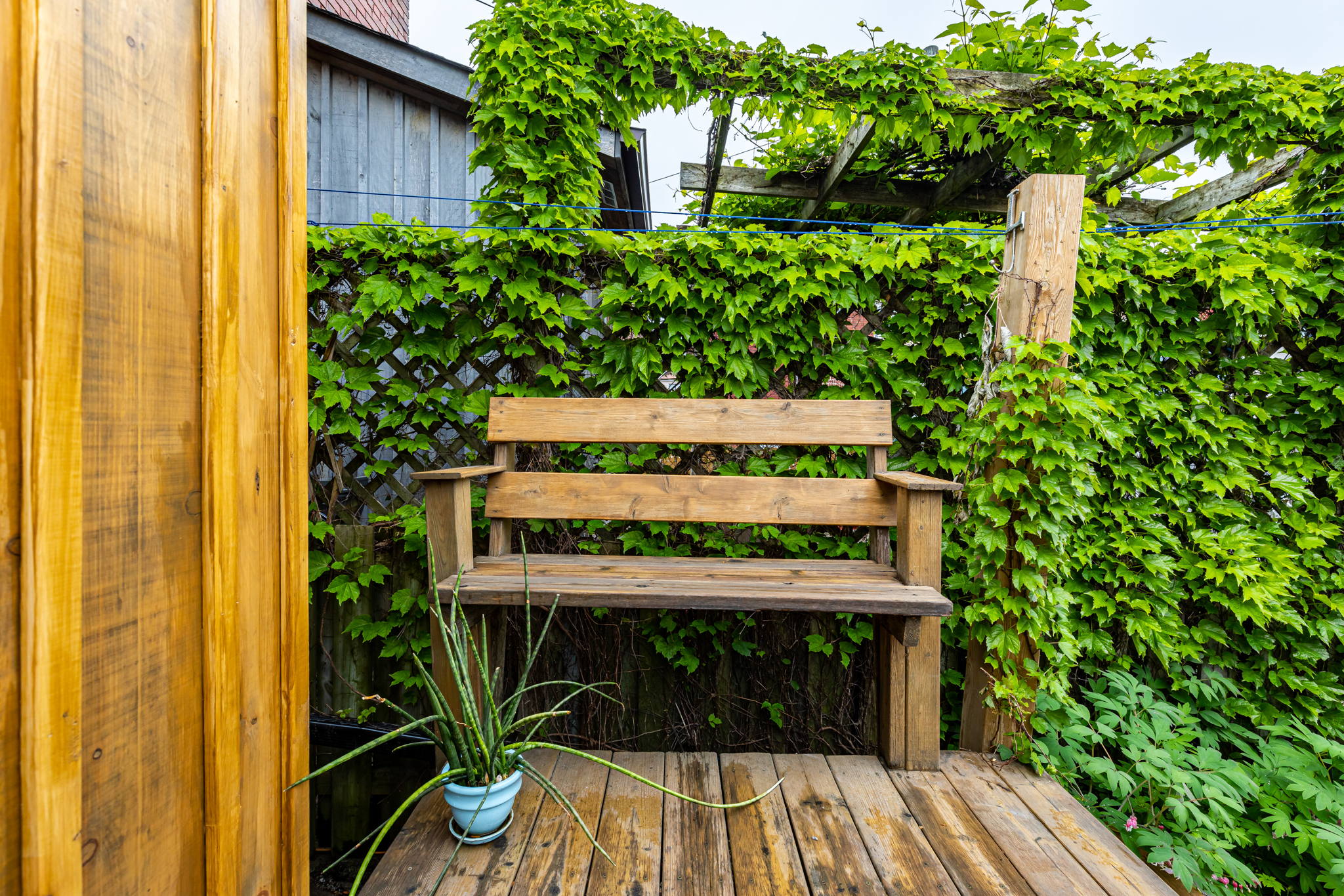 Toronto property showcase — delivered property photograph 34