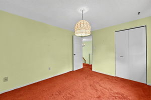  Photo 50